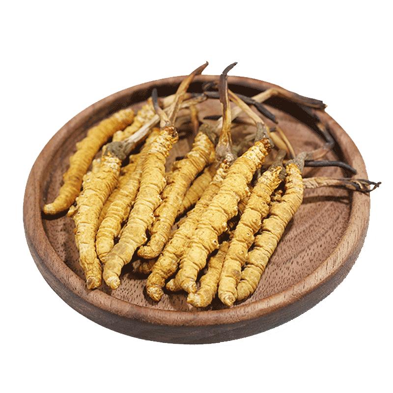 西藏冬虫夏草正品西藏那曲东虫夏草新鲜干虫草3根/克顺丰包邮