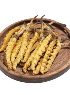 正品新鲜干虫草包邮西藏冬虫夏草