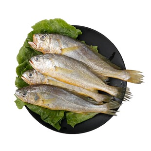 无冰3斤舟山野生小黄鱼新鲜冷冻黄花鱼梅子鲜活海鲜水产海鱼包邮