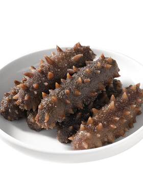 溢源福建霞浦口感Q弹鲜食海参