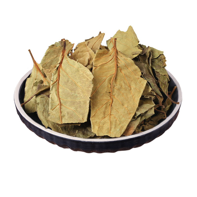 霜后柿子叶神农架中药材官方旗舰店新鲜柿子树叶子干茶泡水粉