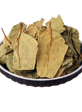 霜后柿子叶神农架中药材