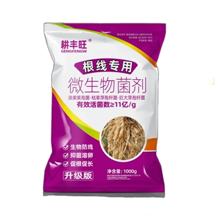 根结线虫专用药淡紫紫孢菌淡紫拟青霉农用果树蔬菜花卉杀根线虫药