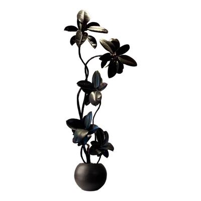 黑金刚橡皮树客厅大盆栽好养植物