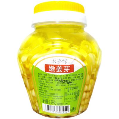 【嫩姜芽】仔姜鲜嫩姜芽酸甜嫩姜泡生姜泡姜芽酱菜爽口泡菜下饭菜