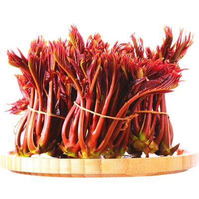 顺丰香椿芽新鲜头茬香椿头