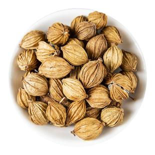 香砂仁500g广砂仁 春沙仁毛砂仁西砂仁 烧菜卤肉火锅香料调料大全