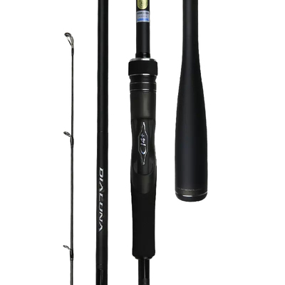 SHIMANO禧玛诺DIALUNA路亚竿