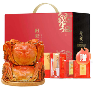 活蟹阳澄湖大闸蟹全母蟹3.5两新鲜特大鲜活螃蟹官方旗舰店礼盒装