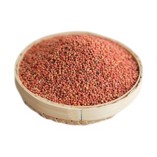 褚实子500g新货楮实子中药材正品诸实子泡水喝另有威灵仙中草药材