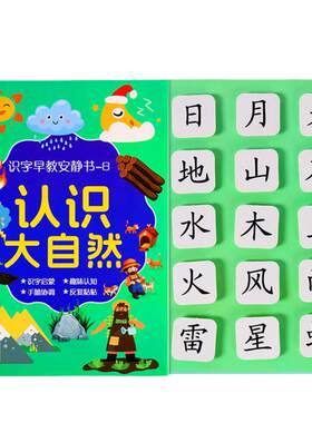 2-6岁识字早教可粘贴安静书