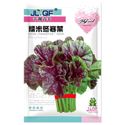 糯米冬寒菜种子蔬菜种籽