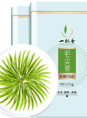 2026新茶一杯香毛尖信阳绿茶250g