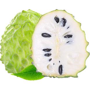 释迦果新鲜番荔枝5斤大目凤梨牛奶佛头果林檎3云南当季水果摩尼果