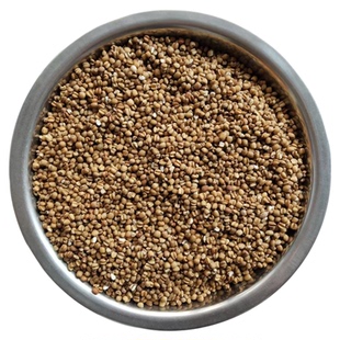 红薏米仁新货金沙红薏米小薏米仁薏仁米福建仙游金沙薏米药用薏苡