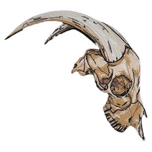 正品全球限量德国PATCHLAB D.E.A.D. 恐龙化石士气章高端魔术贴