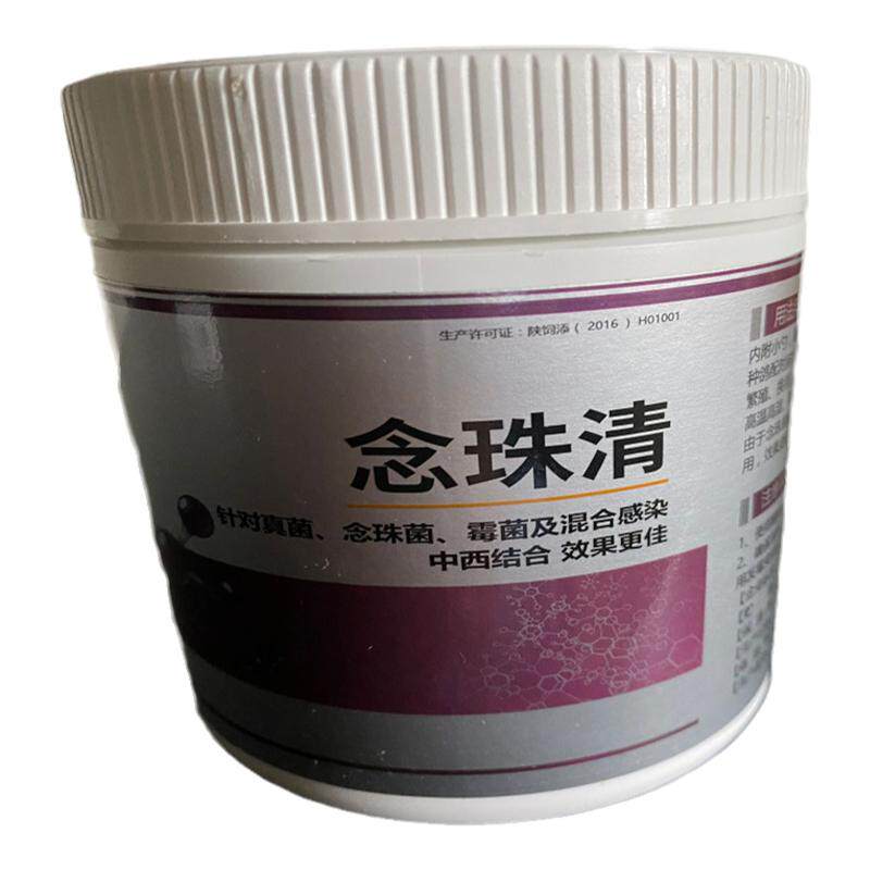 赛鸽鹦鹉清理念珠菌鸽子心连心