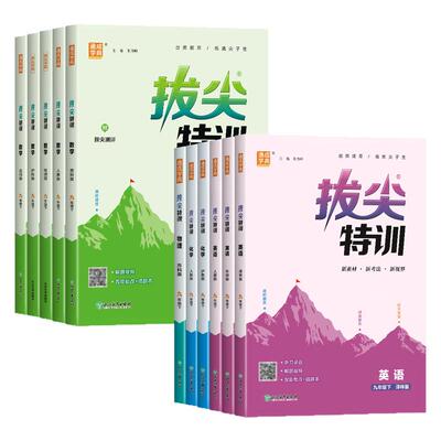 通城学典拔尖特训江苏专版