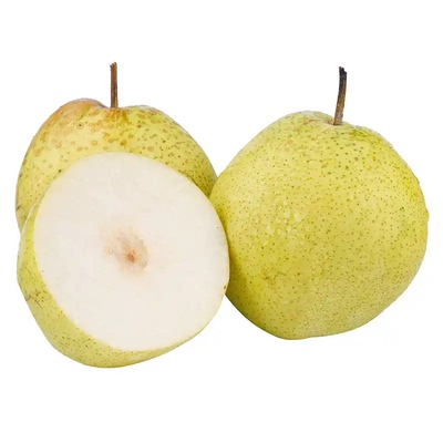 正宗雪花梨河北赵县特产新鲜梨子水果老树雪梨肉脆甜多汁整箱包邮