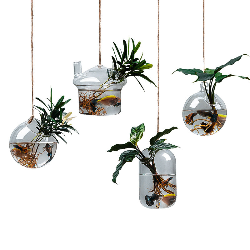 悬挂式植物玻璃瓶花瓶水养培器皿挂墙花盆客厅盆景盆创意透明壁挂