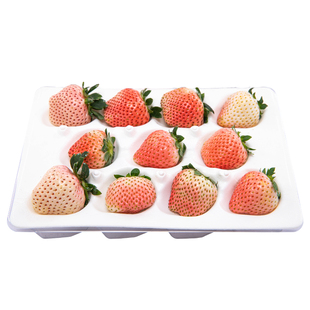长丰粉玉草莓新鲜水果应季牛奶奶油草莓淡雪粉玉大果顺丰冷链包邮