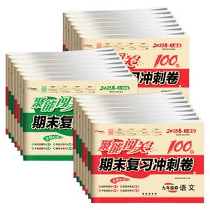 聚能闯关100期末复习模拟真题卷