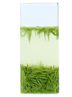 信阳毛尖一级礼盒装500g春茶茶叶