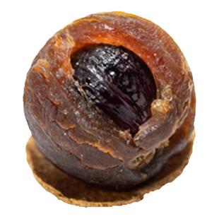 2025新货中大颗粒莆浦田桂圆干特级带壳肉厚龙眼干泡水500gx2袋装