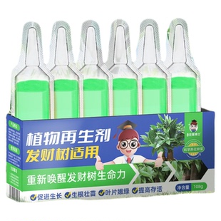 发财树专用营养液家用水培肥料黄叶盆栽花肥再生剂枯叶烂根叶子