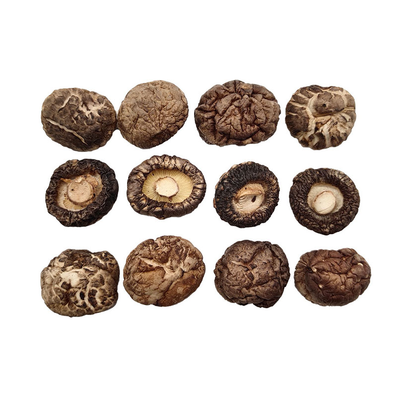 爆款特小香菇珍珠菇西峡香菇干货特产金钱菇迷你菇250克净重1.5-2