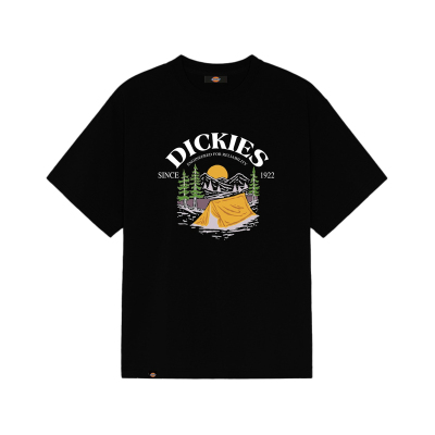 Dickies夏季潮牌帐篷印花短袖T恤