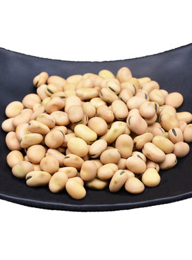 生干小粒蚕豆新鲜蚕豆干货种子
