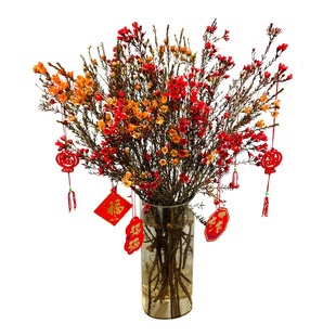 澳洲腊梅鲜花鲜切花枝盆栽水培鲜枝冬季年宵花卉摆件干枝室内盆景