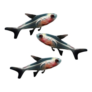 红肚玻璃白肚玻璃红肚皮鱼热带鱼小型鱼灯科活体观赏鱼群游草缸鱼