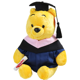 毕业公仔硕士服小熊娃娃学士服玩偶博士帽大学娃衣迪士尼毕业服