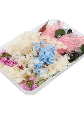 永生花雏菊满天星干花手工diy