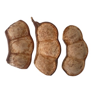 云南过江龙榼藤大豆荚手工DIY礼物送闺蜜朋友兄弟平安豆盘玩