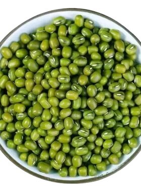 绿豆新货优质东北农家新鲜5斤装
