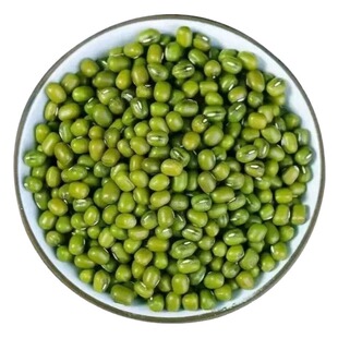 绿豆新货优质东北农家5斤10皮薄新鲜批发煮粥汤今年大颗粒发豆芽