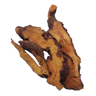 野生中草药 老鼠耳 小叶铁包金 乌龙根 勾儿茶 老鼠草 小叶纯树根