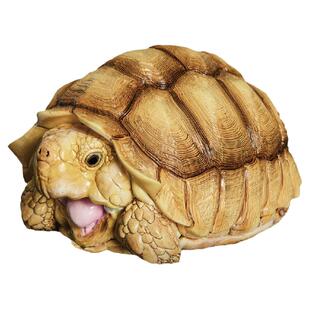 动物星球心宽体胖辐射陆龟苏卡达猪鼻乌龟模型周边手办树脂龟玩具