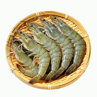 鲜活速冻大虾盐冻青岛青虾白对虾冷冻海虾海鲜水产白虾源头到家