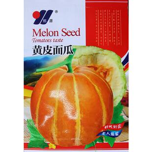 面瓜种籽黄皮黑花青皮面瓜种子露地生吃甜瓜香瓜种籽春夏季可播