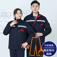 Живая тибец-тибец