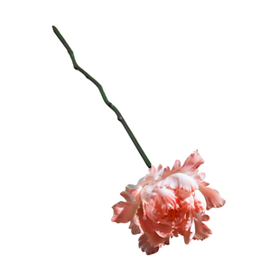 非遗手工陶瓷牡丹瓷花朵摆件新年三八节礼物送女友生日送闺蜜妈妈