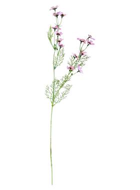 芙菡ins大号仿真小野菊雏菊洋甘菊花束家居装饰客厅假花干花