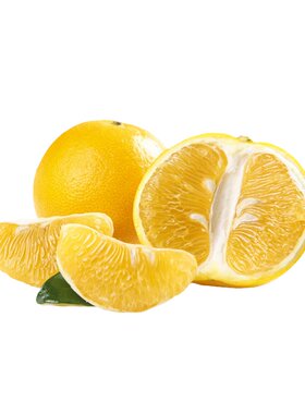 柚子苗葡萄柚苗黄心红宝石嫁接