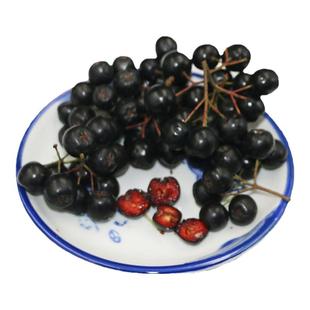 长白山新鲜不老莓又名黑果腺肋花楸野樱莓500g2斤以上包邮