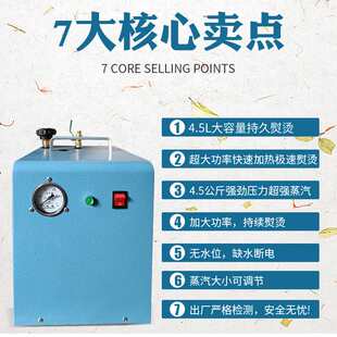 锅炉熨斗全蒸汽大烫调压烫斗蒸汽发生器家用工业用半自动加水加热