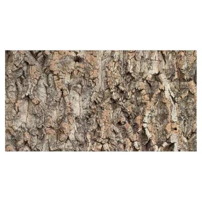 防腐不生虫树皮一手货源香槟树皮